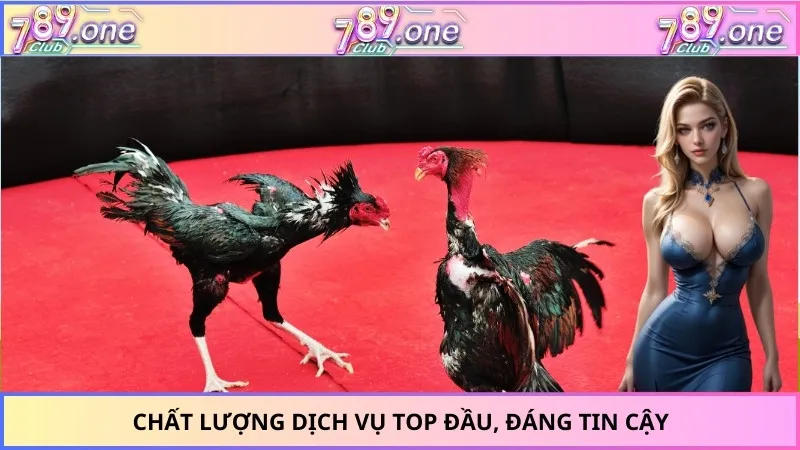 Chất lượng dịch vụ top đầu, đáng tin cậy