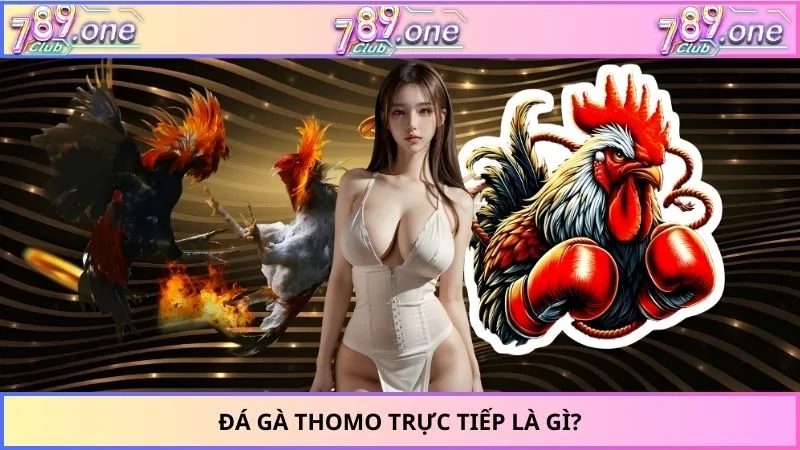Đá gà Thomo trực tiếp là gì?