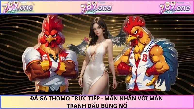 Đá Gà Thomo Trực Tiếp - Mãn Nhãn Với Màn Tranh Đấu Bùng Nổ