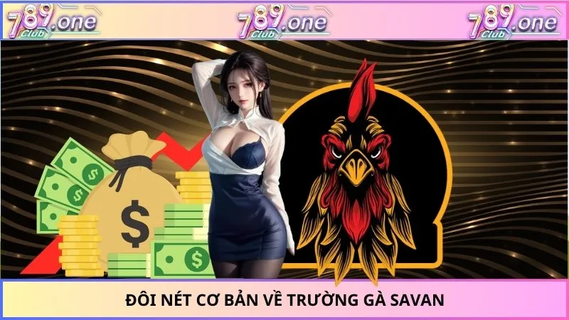 Đôi nét cơ bản về trường gà Savan