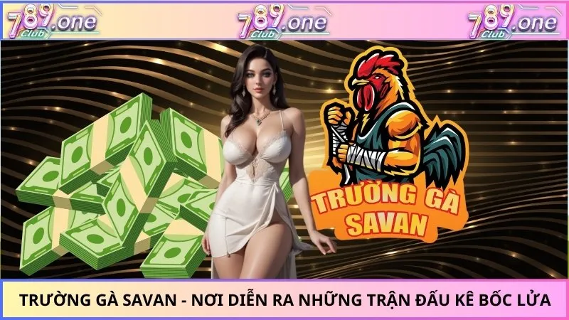 Trường Gà Savan - Nơi Diễn Ra Những Trận Đấu Kê Bốc Lửa