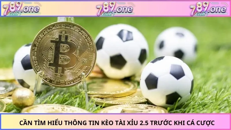 Cần tìm hiểu thông tin kèo tài xỉu 2.5 trước khi cá cược