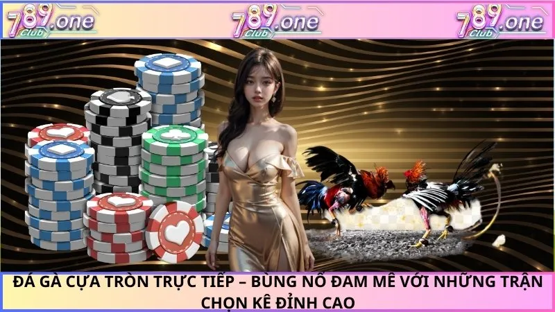 Đá Gà Cựa Tròn Trực Tiếp – Bùng Nổ Đam Mê Với Những Trận Chọn Kê Đỉnh Cao