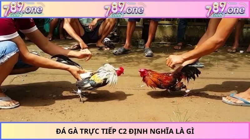 Đá gà trực tiếp C2 định nghĩa là gì
