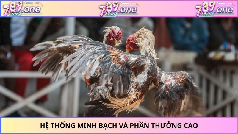 Hệ thống minh bạch và phần thưởng cao