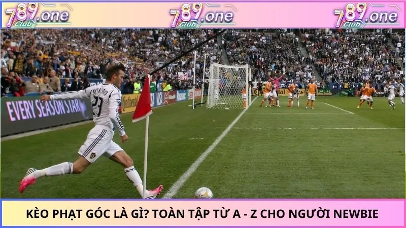 Kèo Phạt Góc Là Gì? Toàn Tập Từ A - Z Cho Người Newbie