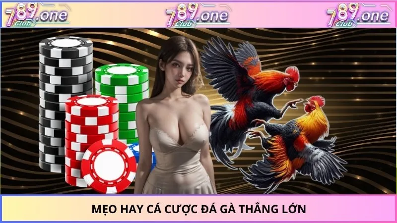 Mẹo hay cá cược đá gà thắng lớn
